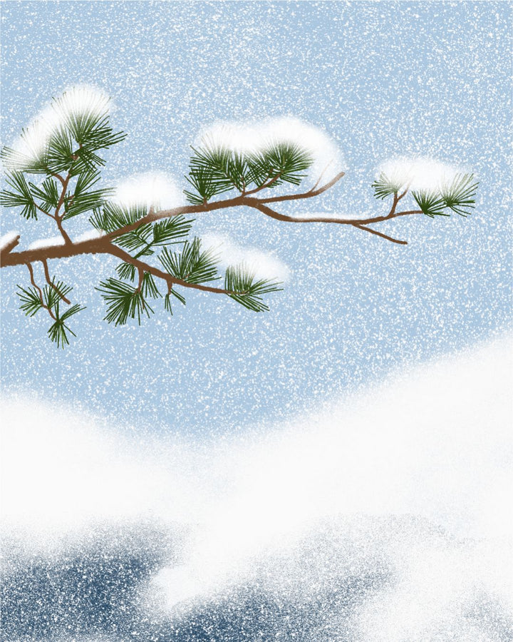 Mugicha, café d'orge - boîte édition limitée Moritsuke